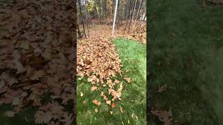 Echo PB9010T Leaf Blower in action [upl. by Kennard659]