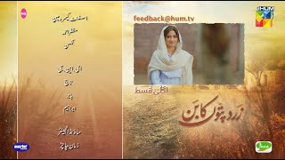 Zard Patton Ka Bunn  Episode 09 Teaser   Sajal Ali amp Hamza Sohail   HUM TV [upl. by Kettie]