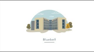 University of Warwick Accommodation  Bluebell [upl. by Llemrej581]