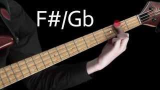 Learn Bass  Learning the notes of the fretboard [upl. by Dawna]