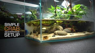 Setup Crab Tank Aquaterrauium l Paludarium l stepbystep l STARTING GUIDE FOR BEGINNERS [upl. by Nylle239]