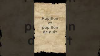 Papillon et papillon de nuit  Huhito FablesVersion française Vol31 [upl. by Ynnor]