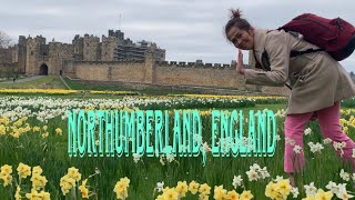 NORTHUMBERLAND  ALNWICK CASTLE ENGLAND  HARRY POTTER amp DOWNTON ABBEY FILMED LOCATION [upl. by Diad]