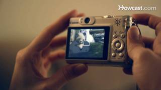 How to Use a Digital Camera [upl. by Hawthorn]