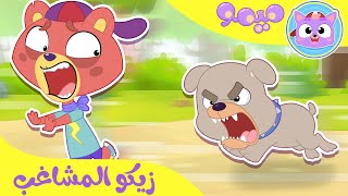 أغنية شوفوا زيكو  قناة ميمو  Memo [upl. by Susette]