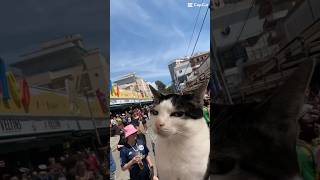 Was sind eure Malle Lifehacks 🏝️🍻ballermann tomtouché partyschlager bier kater [upl. by Sioled589]