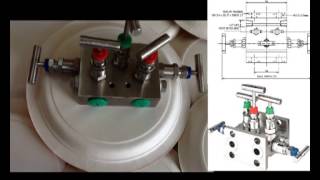 SS316 5 way Manifold Valves [upl. by Asillim20]