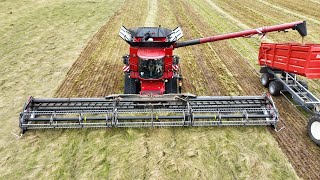 CASE IH 9260 AXIALFLOW Harvesting Different Crops with MacDon FD250 50 ft Header [upl. by Tterab]