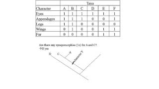 Cladogram Exercise by Hamid Razifard [upl. by Etsirk339]