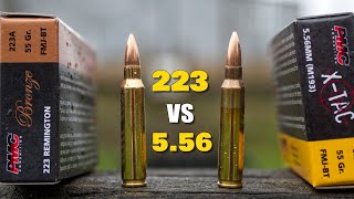 223 vs 556  Whats the Difference [upl. by Sualk]