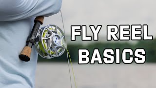 Fly Reels Explained  Basics You Need to Know  Getting Started in Fly Fishing [upl. by Yul408]