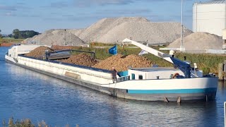 Binnenvaartschip de MARELIE met tijdelijke stuurhut voert suikerbieten aan in Hoogkerk ⚓️⚓️ [upl. by Kelwunn]