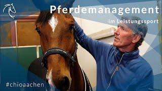 Pferdemanagement im Leistungssport  Ludger Beerbaum über die optimale Reiseplanung [upl. by Eltrym2]