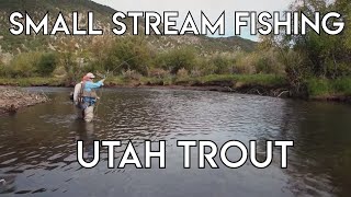 Small Stream Tips amp Techniques  Utah Trout [upl. by Bolte]