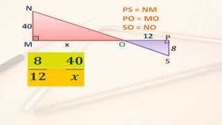 Triangulos semejantes y proporcionalidad [upl. by Anawk574]