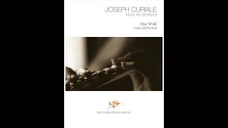 One Wish [upl. by Ynatil]