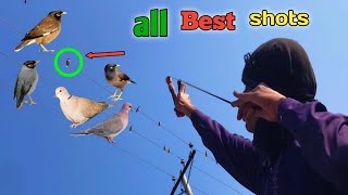 perfect shots of birds hunting with Slingshot [upl. by Annetta303]