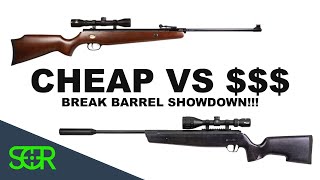 Cheap VS Expensive Break Barrel  Whats your  Get You  SIG ASP20 VS Beeman RS2 [upl. by Alletneuq151]