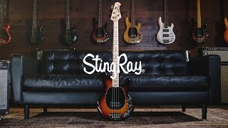 Ernie Ball Music Man StingRay 4 Bass Joe Dart Demos [upl. by Llerret]