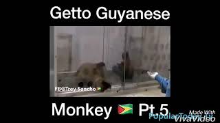 Guyana funny video [upl. by Enyar]