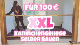 Für 100€ XXL Kaninchengehege selber bauen [upl. by Dnalyar]