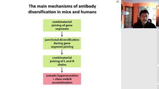 Immunogenetics [upl. by Lillith]