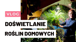 DOŚWIETLANIE roślin domowych Jakie lampy dla roślin wybrać [upl. by Farr]