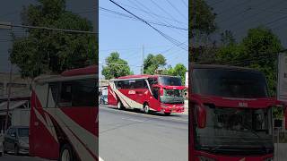 Bus agra mas [upl. by Chapa]