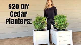 Easy Build DIY Planter Box [upl. by Airamahs]