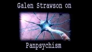 Galen Strawson on Panpsychism [upl. by Irtimd]