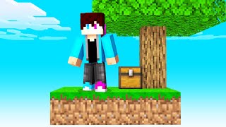 Ik Speel SKYBLOCK In MINECRAFT [upl. by Henarat]