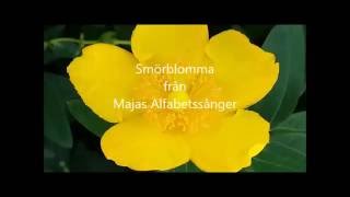 Smörblomma [upl. by Lissner]