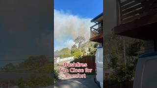 Australia Bushfires out of Control bushfires dogsitter vanlifeaustralia [upl. by Cornall]