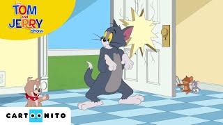 Tom ve Jerry  Misafir Fare  Cartoonito Türkiye [upl. by Aldis]