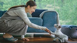 Sony brings back its iconic Aibo robot dog [upl. by Kuster]