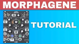 MAKE NOISE MORPHAGENE TUTORIAL  Eurorack sample module [upl. by Roti]