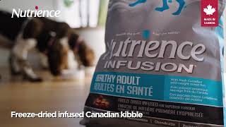 NUTRIENCE Infusion Ocean Fish for dogs [upl. by Selmore56]