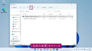 ファイルの名前を変更するには（Windows 11） [upl. by Emory863]