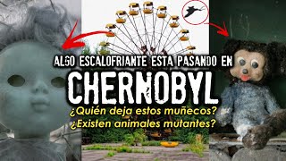 Algo extraño está pasando en Chernobyl  Aparecen estos muñecos [upl. by Silliw]