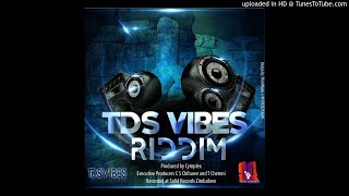 ZIZOE  ZAMBIRA MUSHANATDS VIBES RIDDIMPROD BY CYMPLEX SOLID RECORDSJUNE 2017 [upl. by Havens]