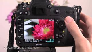 Introduction to the Nikon D7100 Basic Controls [upl. by Carolyne]