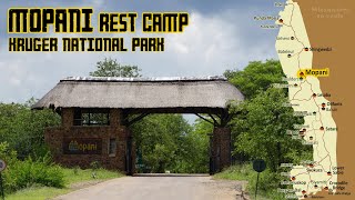 Kruger National Park Mopani Rest Camp [upl. by Alimaj497]