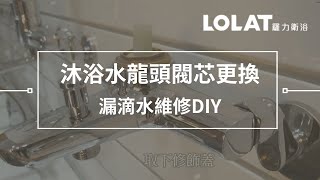 水龍頭漏水維修DIY－5分鐘更換浴室沐浴水龍頭閥芯 [upl. by Nnoved]