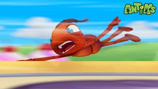 Hang Tight  Antiks 🐜  Funny Cartoons for Kids [upl. by Sirkin]