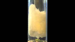 Rapid methane hydrate formation [upl. by Ybloc]