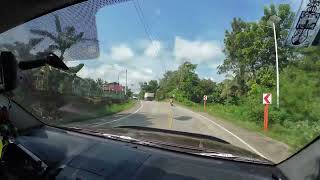 SECOND MAN MADE FOREST SITUATED AT BARANGAY HANOPOL BALILIHAN PROVINCE OF BOHOL [upl. by August585]