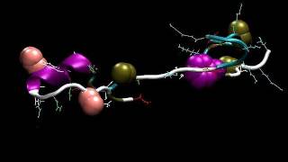 Simulating How Proteins SelfAssemble Or Fold [upl. by Noiz]