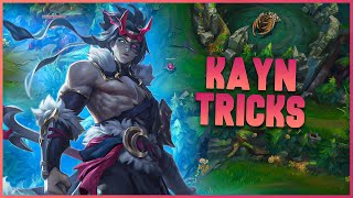 KAYN TOP IS A HIGHELO BEAST amp VERY STRONG SCALE amp 1V5  S13 Kayn TOP Gameplay Guide [upl. by Peednama]