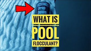 Swimming Pool Flocculant [upl. by Eetnuahs261]