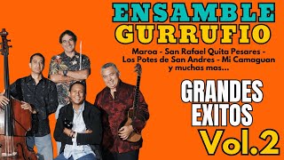 Ensamble Gurrufio Maroa [upl. by Fotina657]